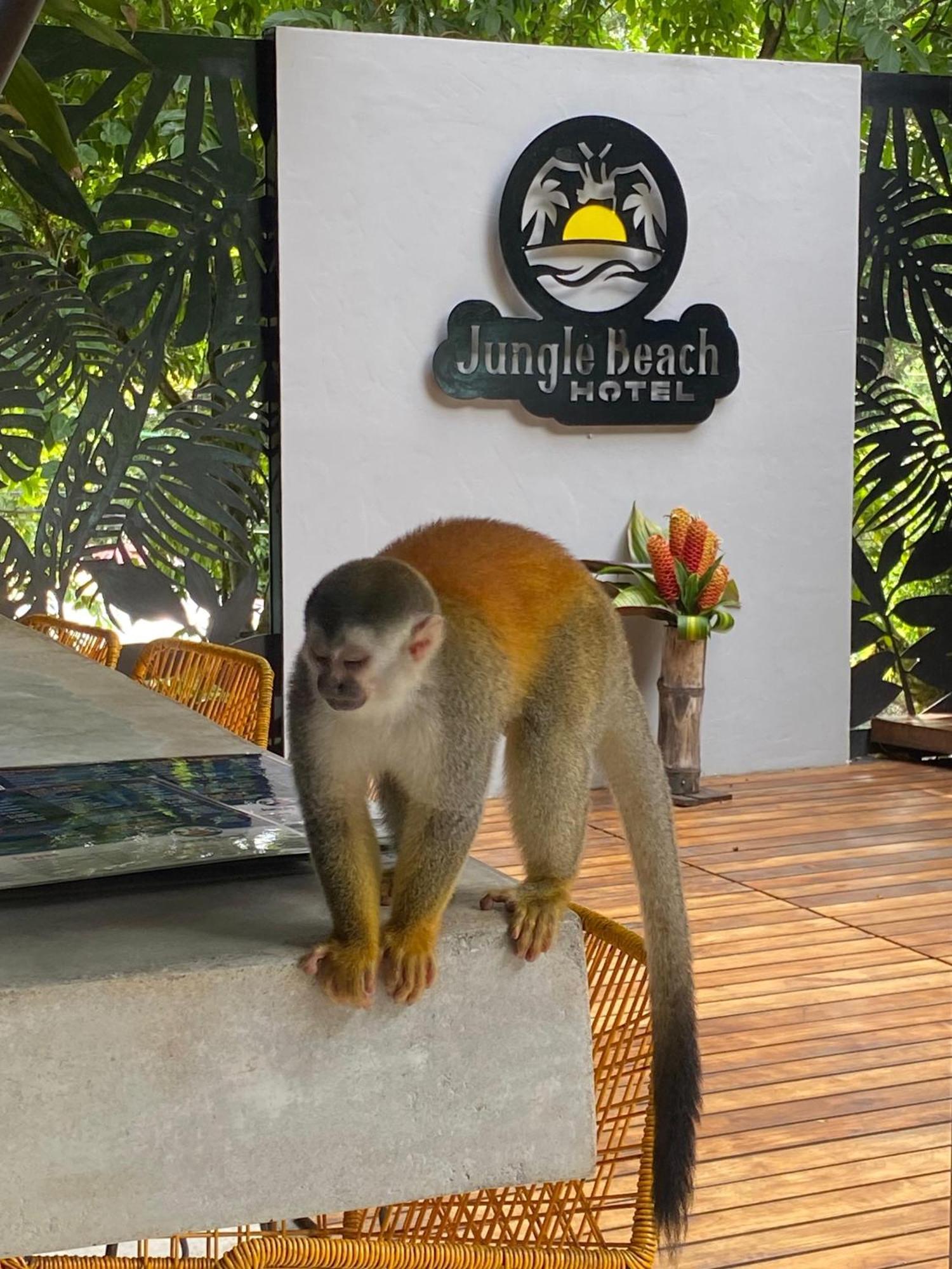 Jungle Beach Hotel มานูเอล อันโตนิโอ ภายนอก รูปภาพ