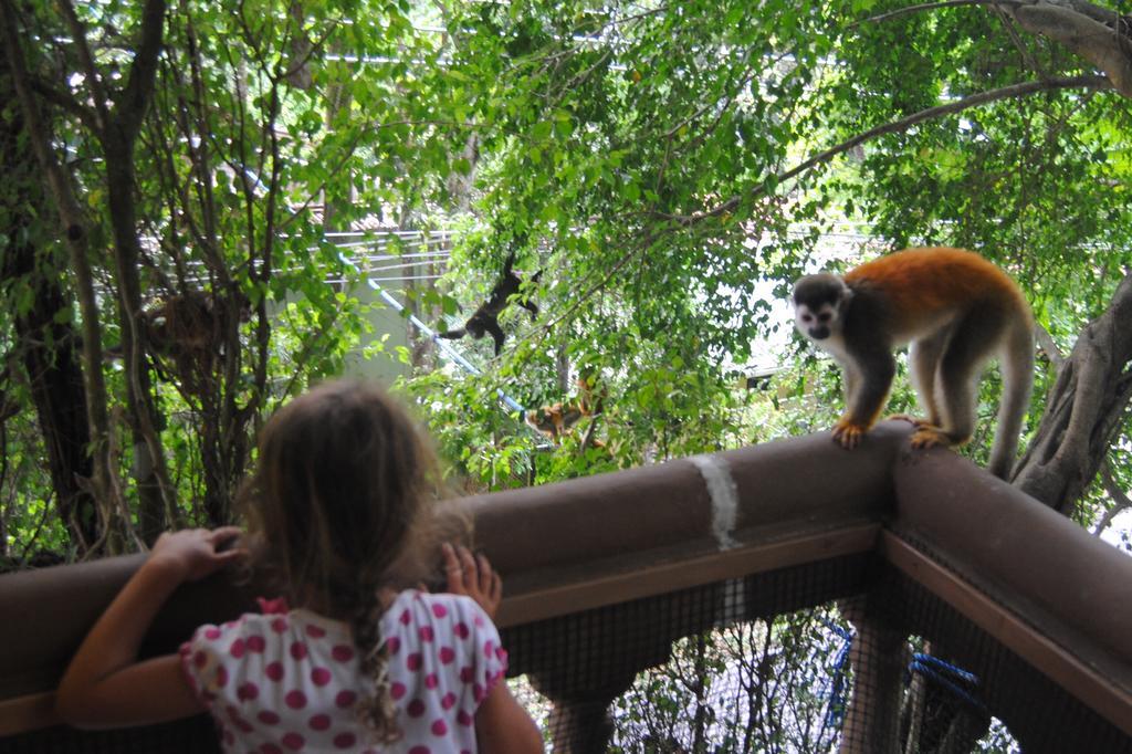 Jungle Beach Hotel มานูเอล อันโตนิโอ ห้อง รูปภาพ
