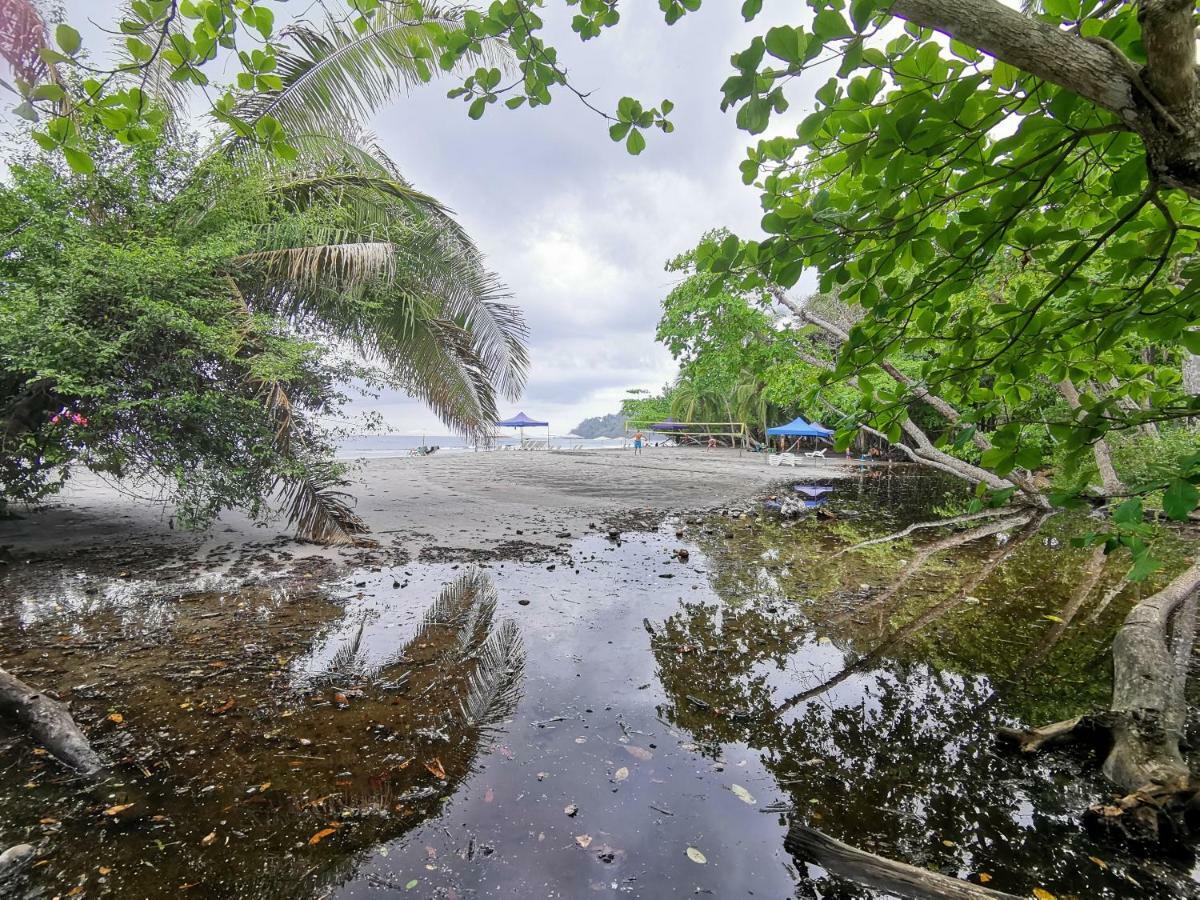 Jungle Beach Hotel มานูเอล อันโตนิโอ ภายนอก รูปภาพ